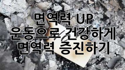 면역력 UP! 운동으로 건강하게 면역력 증진하기