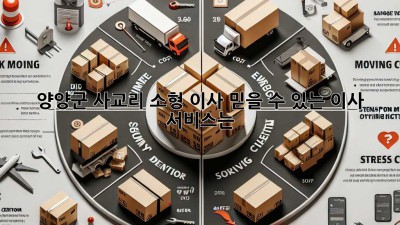 양양군 사교리 소형 이사, 믿을 수 있는 이사 서비스는?